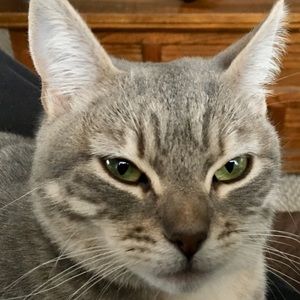 Meet your Posher, Erika and family